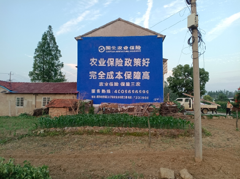 滑县墙体广告为何受追捧?